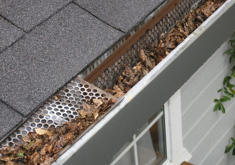 From Good to Great: How PPC Advertising Can Elevate Your Sarasota Gutter Cleaning Service Above the Competition!