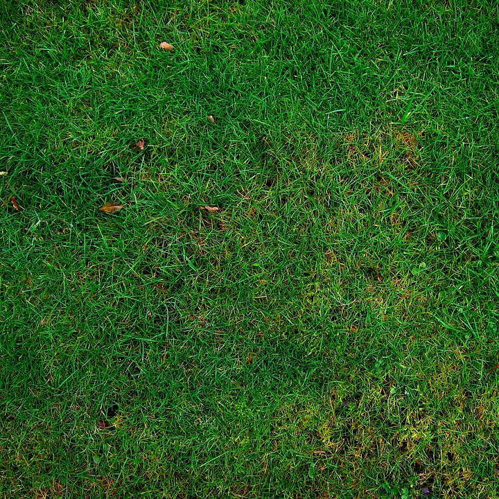 “From Grass to Glory: Unlocking the Power of PPC for Sarasota's Local Lawn Care Heroes”