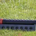 From Grass to Google: 5 SEO Strategies Every Bradenton Lawn Care Service Needs to Know
