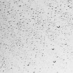 From Grime to Prime: Transform Your Sarasota Window Cleaning Business with Targeted PPC Strategies