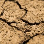 “From Groundwork to Clicks: Elevate Your Bradenton Land Grading Firm with Smart PPC Strategies!”