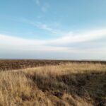 From Groundwork to Gains: Unlocking the Power of PPC for Sarasota's Land Grading Professionals