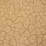 From Groundwork to Growth: Maximizing Your Land Grading Business with Effective PPC Strategies