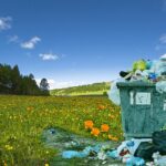 From Hidden to Headline: Why Bradenton Junk Removal Services Need SEO to Stand Out