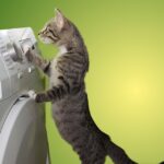 From Hometown Heroes to Top Search Results: Elevate Your Bradenton Dryer Vent Cleaning Business with Smart SEO