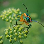 From Infestations to Impressions: The Essential Role of SEO in Growing Sarasota Pest Inspectors