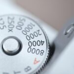 From Infestations to Inquiries: Transform Your Sarasota Pest Control Service with Targeted PPC Campaigns