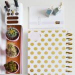 From Invisible to Unmissable: The Power of SEO for Bradenton's Event Planners
