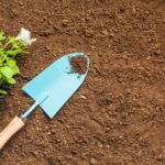 From Lawn Care to Leads: Elevate Your Sarasota Landscaping Business with PPC