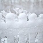 From Local to Liked: The Power of PPC Advertising for Bradenton Fence Installers