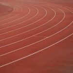 From Patients to Profits: Harnessing SEO to Drive Local Visibility for Your Sarasota Physical Therapy Clinic
