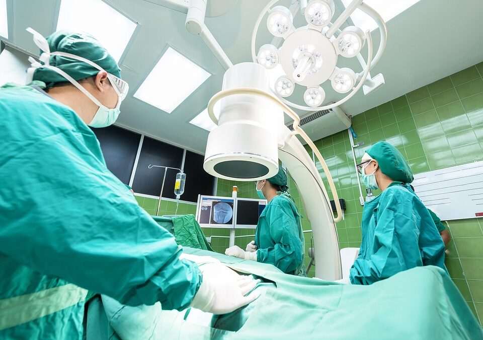 From Patients to Profits: The Untapped SEO Secrets Every Bradenton Doctor Should Know