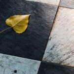 From Patios to Profits: The Essential SEO Guide for Sarasota's Small Business Builders