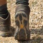 From Pawprints to Paychecks: The Vital Role of PPC in Growing Your Bradenton Dog Walking Service!