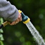 From Pest to Best: Unlocking SEO Strategies for Bradenton's Small Pest Control Businesses