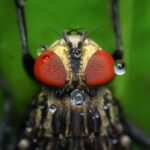 From Pest to Profit: Unlocking the Power of PPC Advertising for Sarasota's Small Enterprises