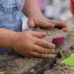 From Playtime to Page One: The Surprising Benefits of SEO for Child Care Centers in Bradenton