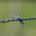 From Posts to Profits: Harnessing SEO to Grow Your Fence Installation Business in Bradenton