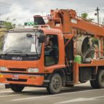 From Sapling to Success: Unlocking the Power of SEO for Tree Services in Bradenton