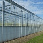 From Seeds to Sales: How PPC Campaigns Can Cultivate Growth for Your Sarasota Landscaping Business