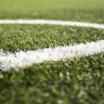 From Turf to Traffic: Unlocking the SEO Secrets for Sarasota Lawn Care Companies