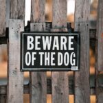 From Visibility to Tenants: The Game-Changing Impact of SEO for Sarasota Property Managers