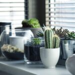 From Walls to Websites: The Unseen Benefits of SEO for Bradenton Home Remodeling Pros