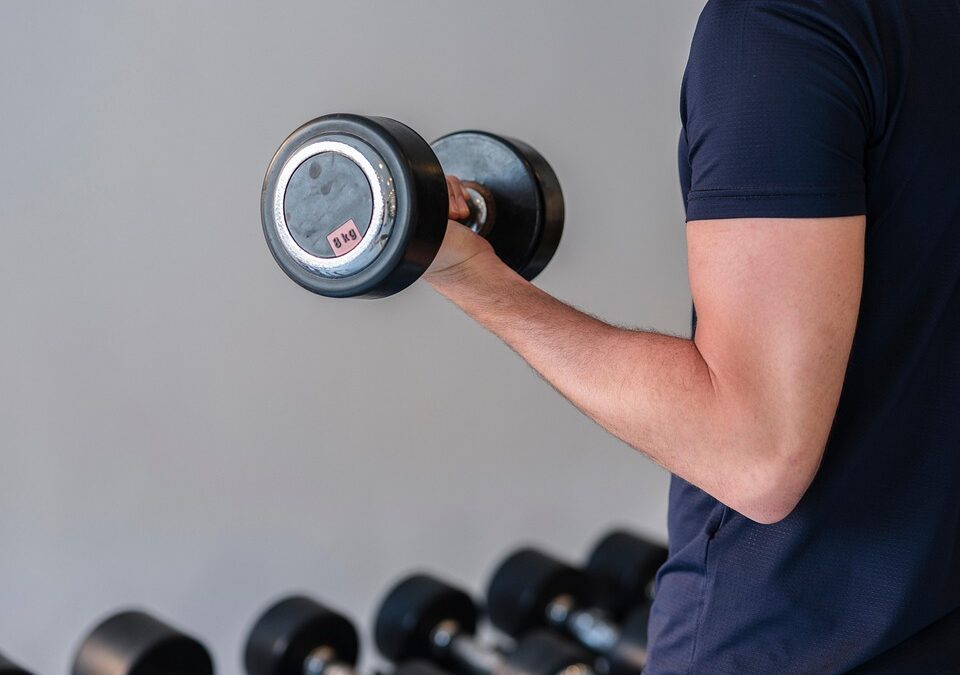 Get Found, Get Fit: How Local SEO Can Help Your Sarasota Gym Stand Out in a Competitive Market