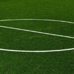Green Gains: How PPC Advertising Can Transform Your Sarasota Lawn Care Business