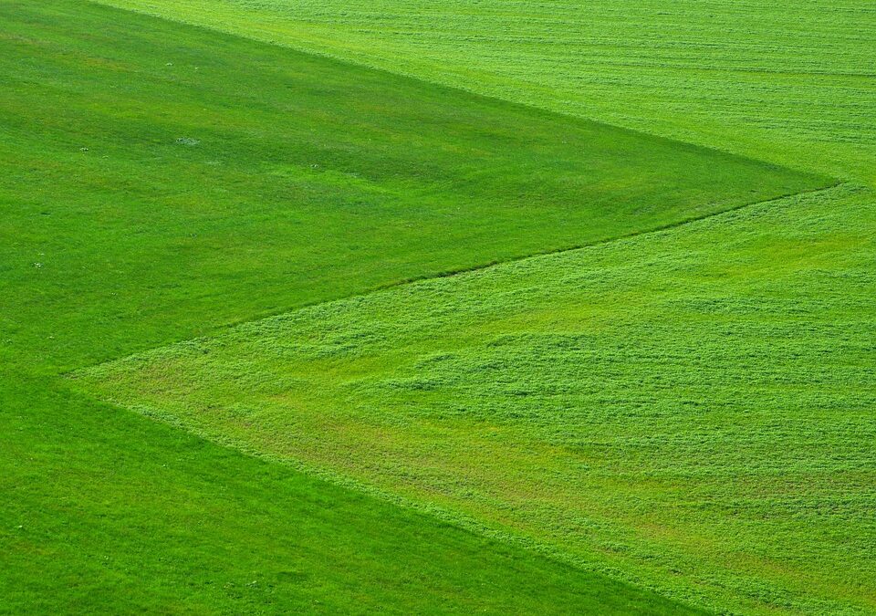 Grow Your Business Like Grass: The SEO Secrets Every Sarasota Lawn Care Owner Should Know