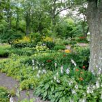 Grow Your Green: How PPC Advertising Can Transform Your Sarasota Landscaping Business