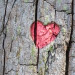 Growing Your Customer Base: The Top 5 SEO Strategies for Sarasota’s Tree Service Businesses