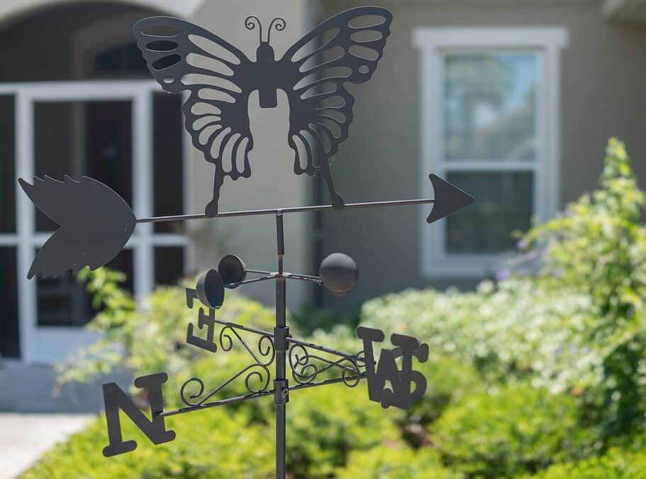 Growing Your Green Space: How PPC Can Transform Your Sarasota Landscaping Business