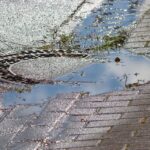 Gutter Cleaning and Google: How Sarasota Small Businesses Can Reap the Benefits of SEO