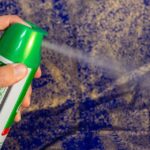 Helping Your Business Sparkle: Why SEO is a Game-Changer for Bradenton's House Cleaning Professionals
