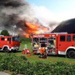 Leafing Through Digital Growth: Why Bradenton Tree Services Need SEO Now More Than Ever