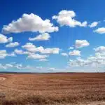 “Level Up Your Land Grading Business: The Untapped SEO Benefits for Sarasota Entrepreneurs”