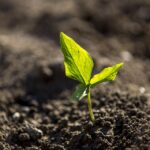 Leveling Up: How SEO Can Elevate Your Bradenton Land Grading Business Above the Competition