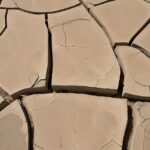 Leveling Up Your Sarasota Land Grading Business: How SEO Can Make You the Go-To Choice