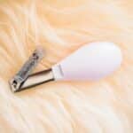 Local Love: Harnessing PPC to Attract More Clients to Your Bradenton Nail Salon