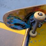Local Love: How SEO Can Enhance Your Sarasota Pet Boarding Business’s Visibility