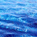 Make Waves: Boost Your Sarasota Pool Cleaning Business with SEO Strategies!