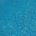 Make a Splash: How SEO Can Propel Your Sarasota Pool Cleaning Business to New Depths