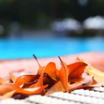 Making Waves in Bradenton: Boost Your Pool Cleaning Business with Smart SEO Tactics