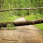 Making Waves in the Local Market: Why SEO is Essential for Water Damage Restoration Services in Sarasota