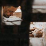 Mastering the Art of Visibility: How SEO Can Elevate Your Painting Business in Bradenton