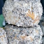 “Mold Remediation in Sarasota: How Local SEO Can Transform Your Business Visibility”