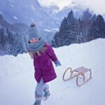 Moving Up: How SEO Can Boost Your Sarasota Moving Company and Outshine the Competition