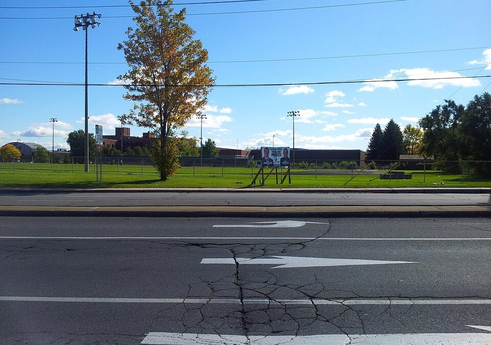 Navigating the Digital Road: Why Bradenton Driving Schools Can't Afford to Ignore Local SEO