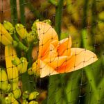Optimize and Protect: The Unseen Benefits of SEO for Your Bradenton Pest Control Business